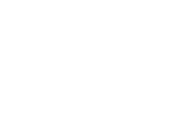 Black Eagle Customs