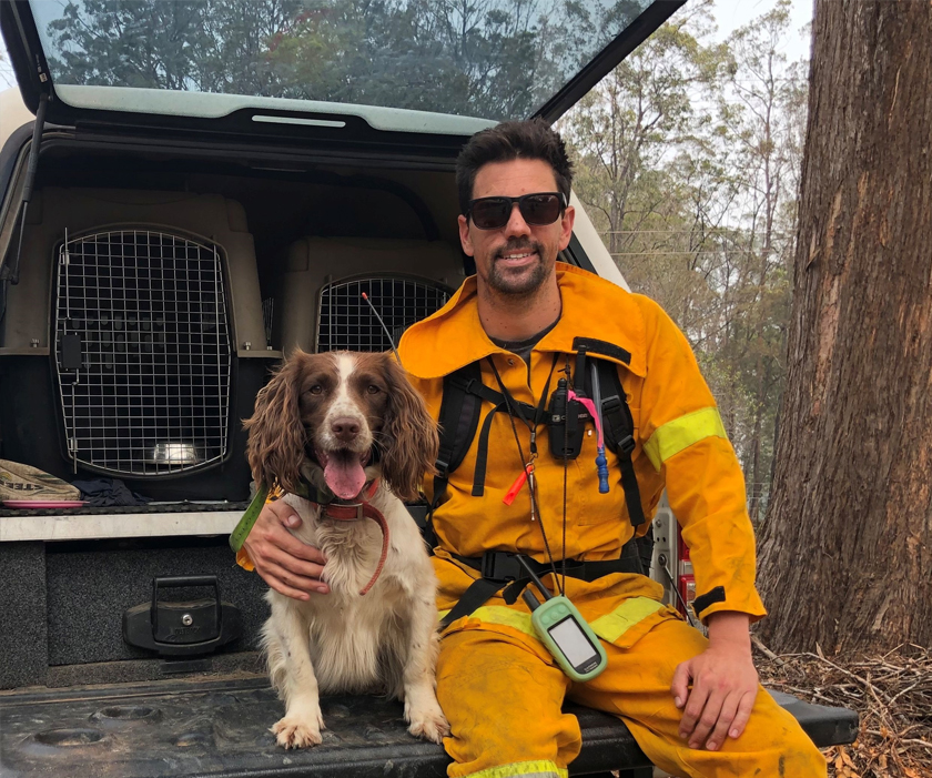 Dog Rescue