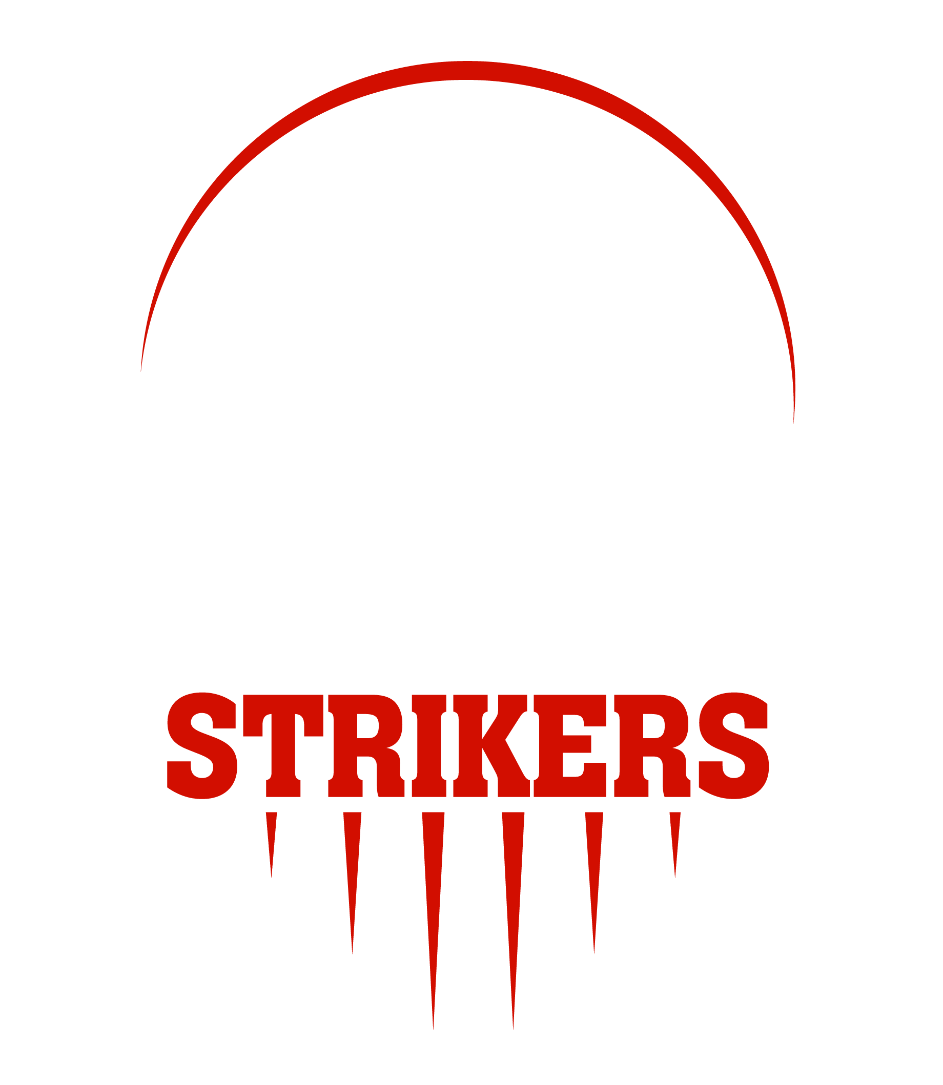 Super Strikers